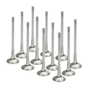 SPT Exhaust Valves