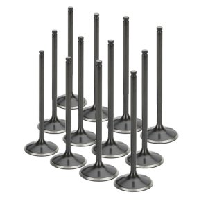 SPT Intake Valves