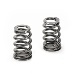 SPT Conical Valve Spring Kits